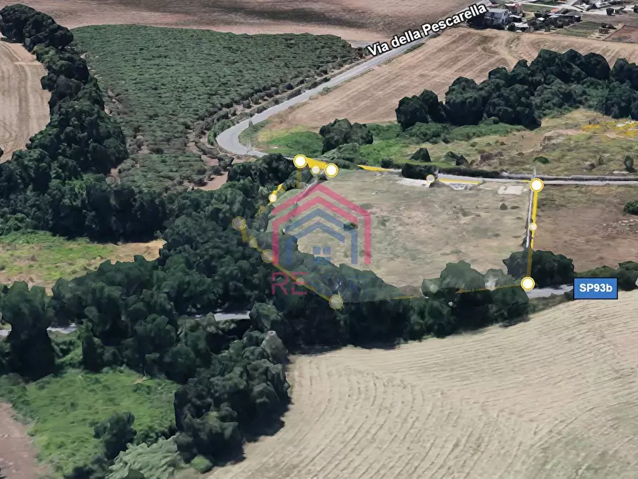 Immagine 5 di Terreno agricolo in vendita  in Via Pescarella - Via Valle Caia - a Ardea