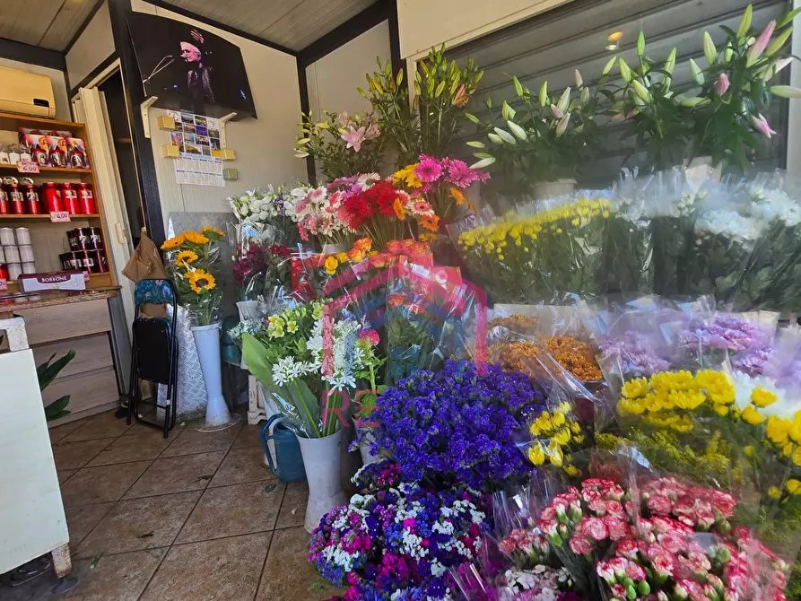 Immagine 4 di Attività commerciale in vendita  in Via Damiano snc a Ardea