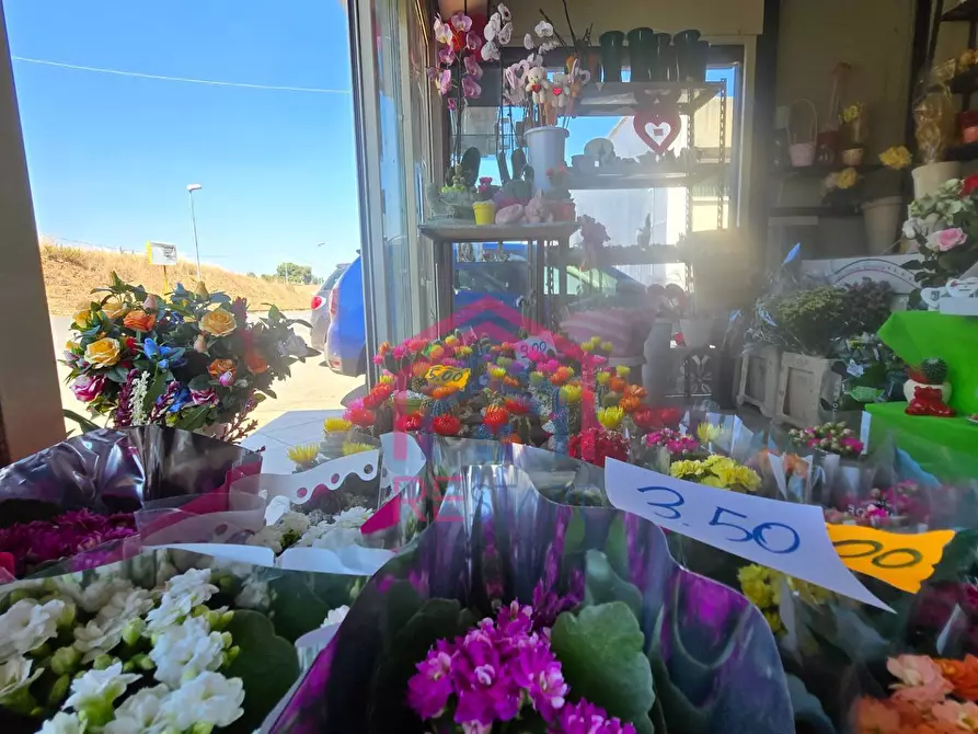 Immagine 5 di Attività commerciale in vendita  in Via Damiano snc a Ardea