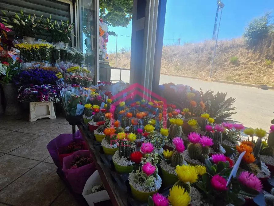 Immagine 6 di Attività commerciale in vendita  in Via Damiano snc a Ardea