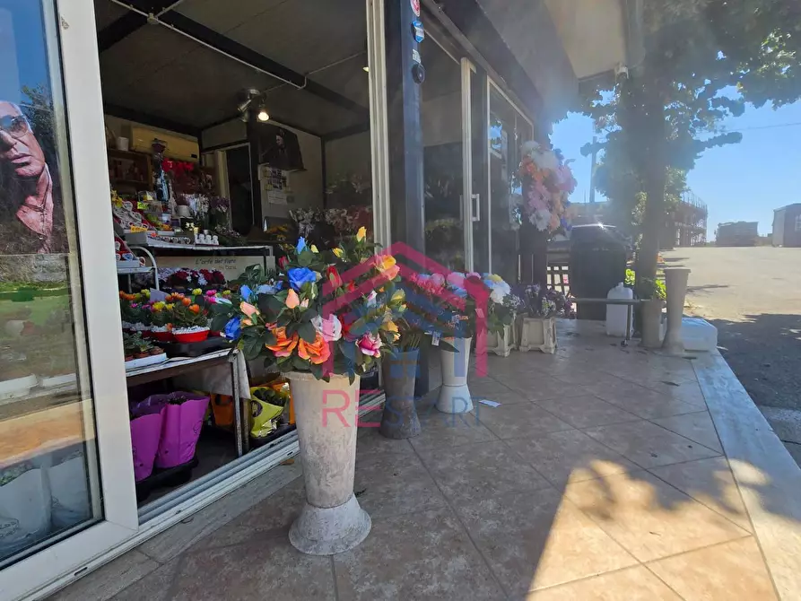 Immagine 2 di Attività commerciale in vendita  in Via Damiano snc a Ardea