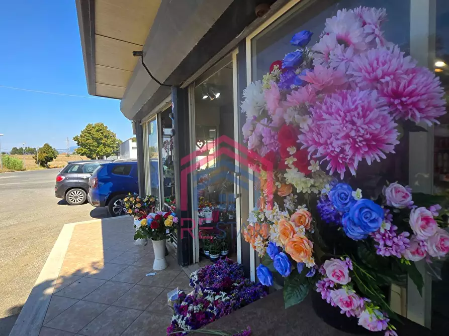 Immagine 7 di Attività commerciale in vendita  in Via Damiano snc a Ardea