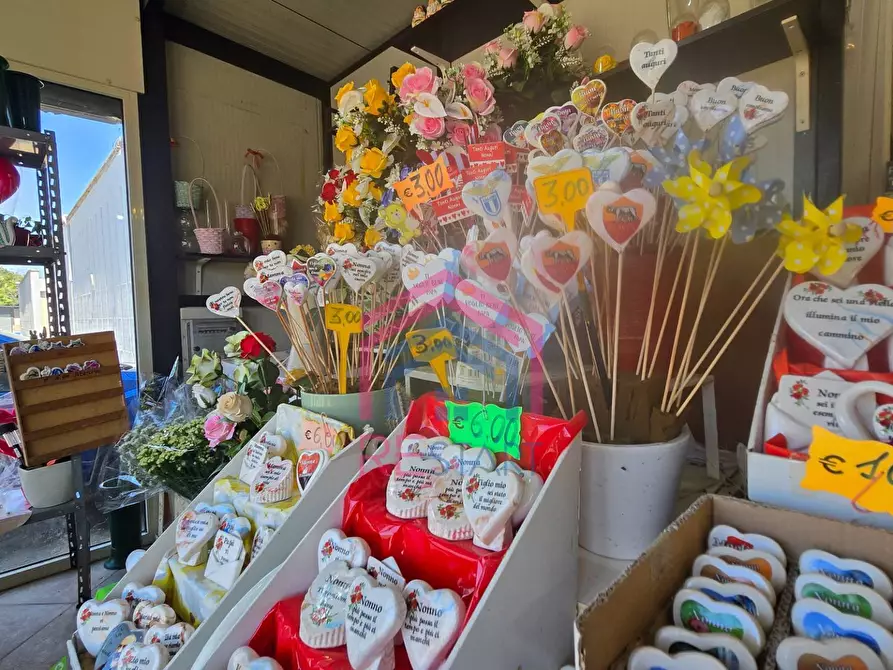 Immagine 9 di Attività commerciale in vendita  in Via Damiano snc a Ardea