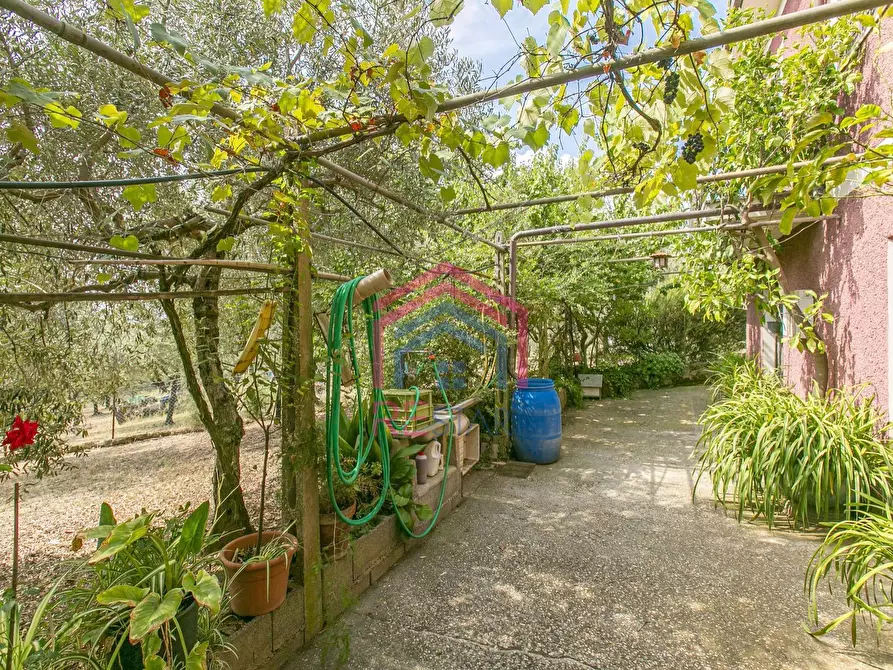 Immagine 24 di Villa in vendita  in strada vicinale della macina 14 a Genzano Di Roma