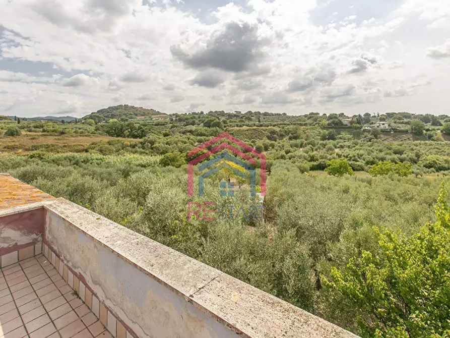 Immagine 15 di Villa in vendita  in strada vicinale della macina 14 a Genzano Di Roma