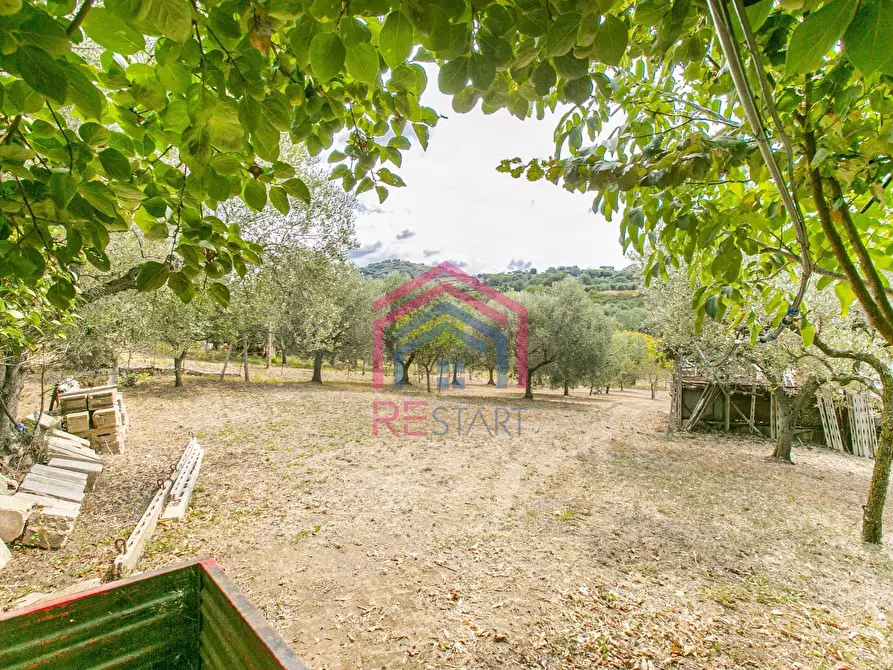Immagine 37 di Villa in vendita  in strada vicinale della macina 14 a Genzano Di Roma