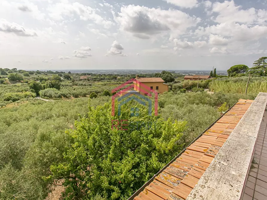 Immagine 28 di Villa in vendita  in strada vicinale della macina 14 a Genzano Di Roma