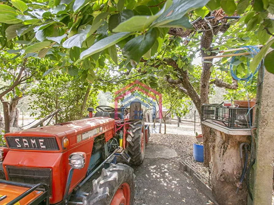 Immagine 38 di Villa in vendita  in strada vicinale della macina 14 a Genzano Di Roma