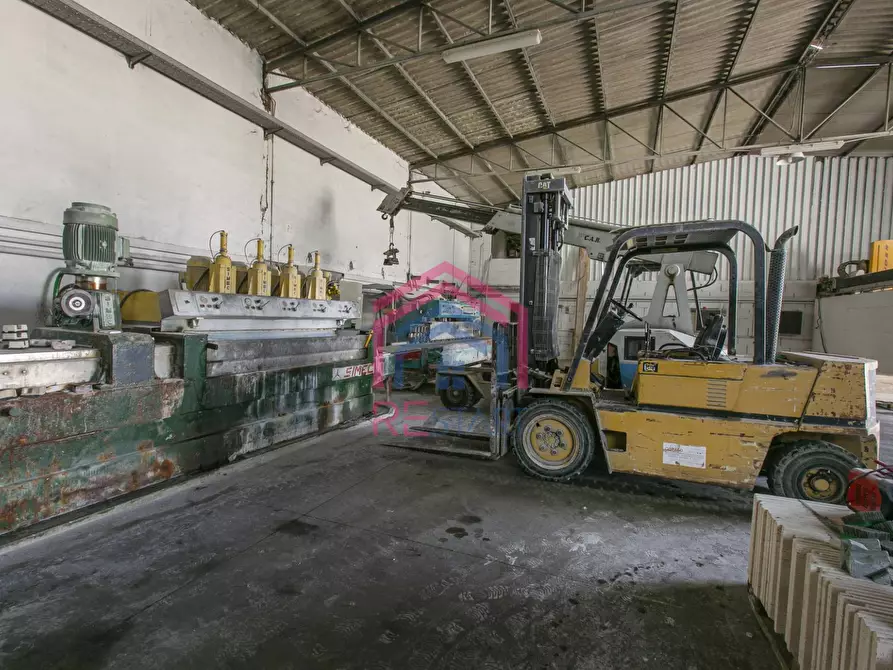 Immagine 11 di Laboratorio in affitto  in Via Nicola Ricciotti snc a Aprilia