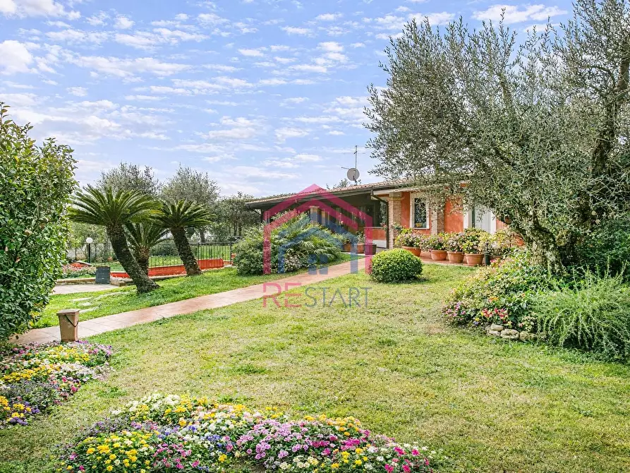 Immagine 74 di Villa in vendita  in Viale Ascanio 36 a Pomezia