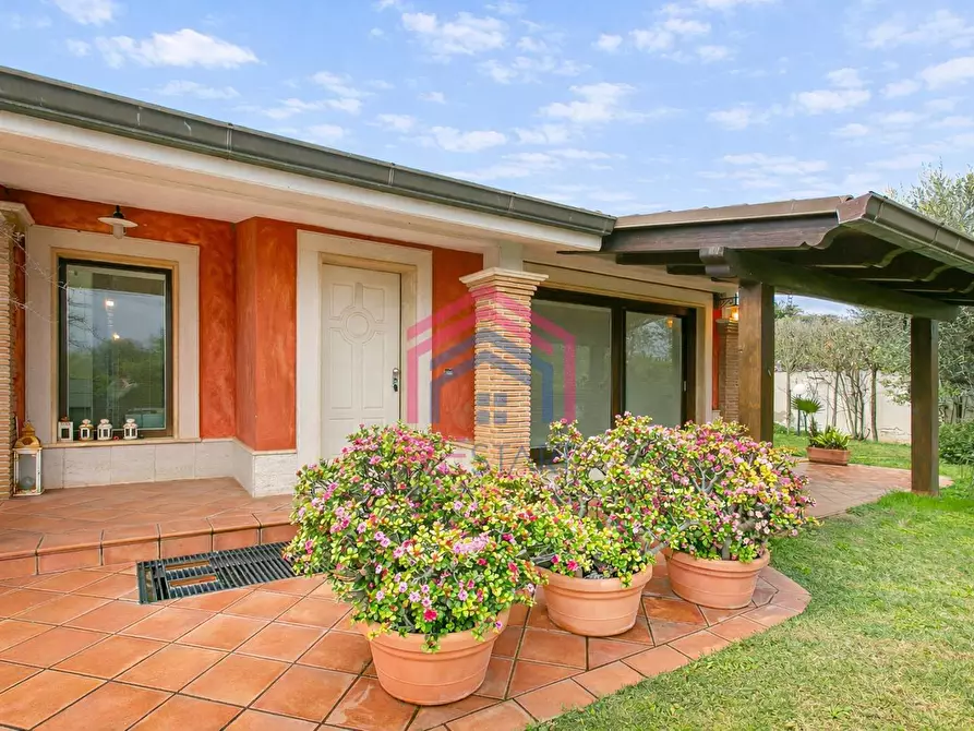 Immagine 5 di Villa in vendita  in Viale Ascanio 36 a Pomezia