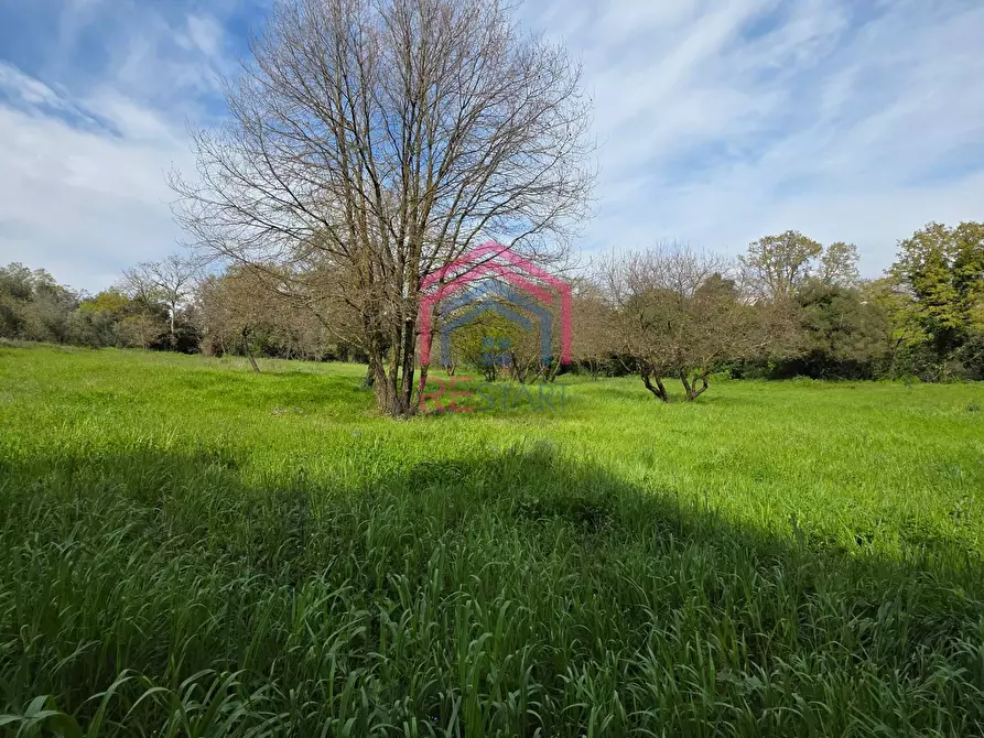 Immagine 1 di Terreno agricolo in vendita  in Via delle arance snc a Pomezia