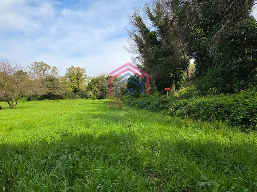 Immagine 3 di Terreno agricolo in vendita  in Via delle arance snc a Pomezia