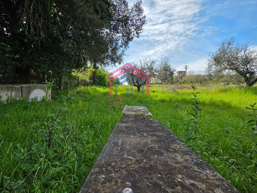 Immagine 4 di Terreno agricolo in vendita  in Via delle arance snc a Pomezia