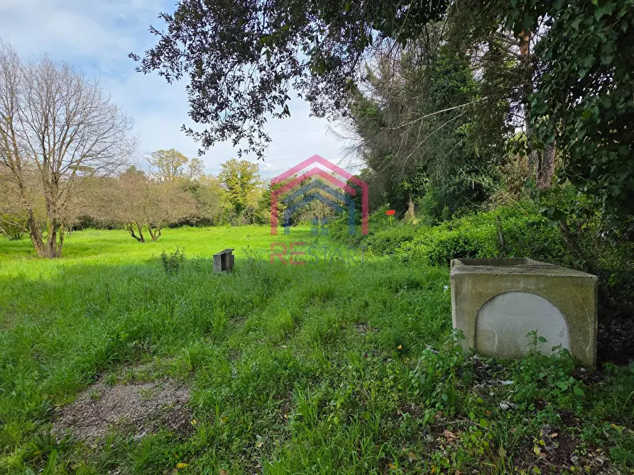 Immagine 8 di Terreno agricolo in vendita  in Via delle arance snc a Pomezia