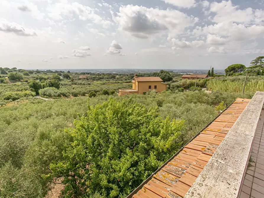 Immagine 32 di Villa in vendita  in strada vicinale della macina 14 a Genzano Di Roma