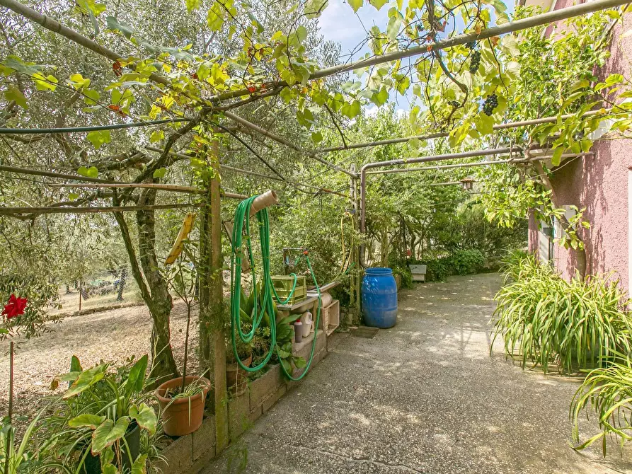 Immagine 36 di Villa in vendita  in strada vicinale della macina 14 a Genzano Di Roma