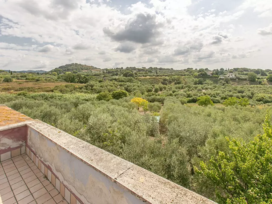 Immagine 31 di Villa in vendita  in strada vicinale della macina 14 a Genzano Di Roma