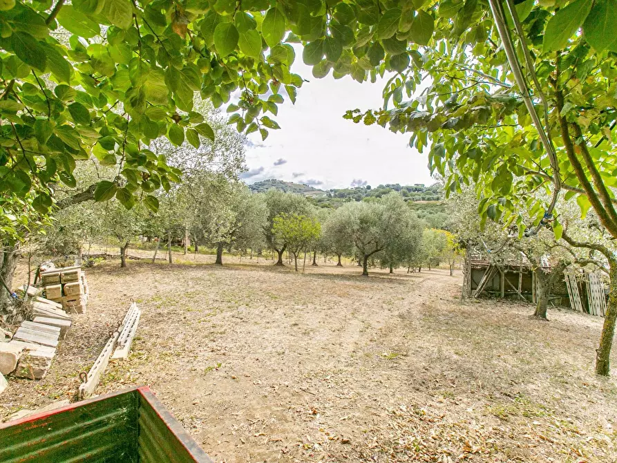 Immagine 35 di Villa in vendita  in strada vicinale della macina 14 a Genzano Di Roma