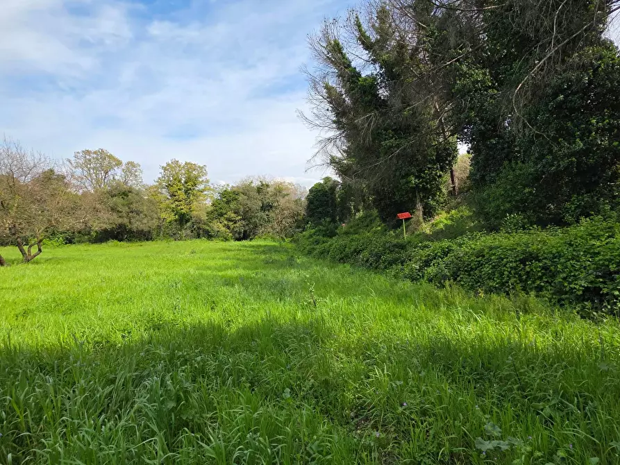 Immagine 2 di Terreno agricolo in vendita  in Via delle arance snc a Pomezia