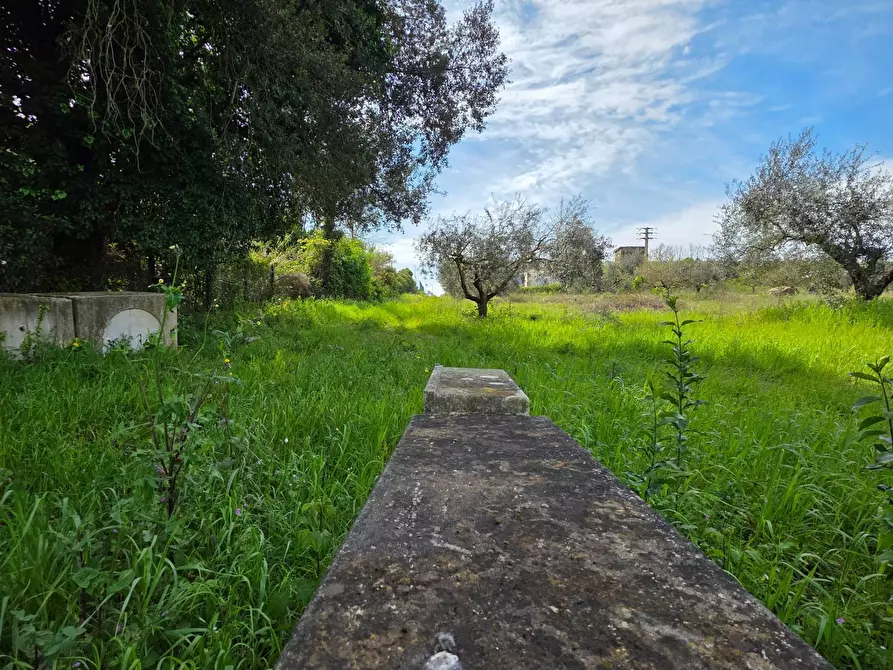 Immagine 4 di Terreno agricolo in vendita  in Via delle arance snc a Pomezia