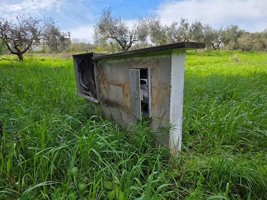 Immagine 8 di Terreno agricolo in vendita  in Via delle arance snc a Pomezia