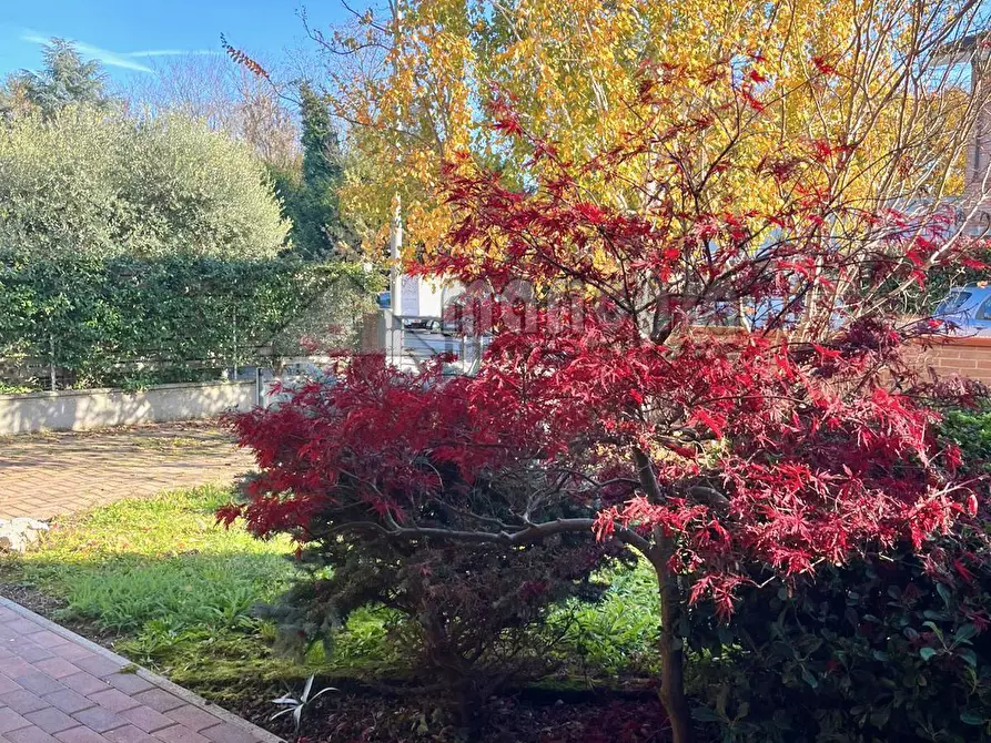 Immagine 6 di Villetta a schiera in affitto  in via Madonna Boschi a Vigarano Mainarda