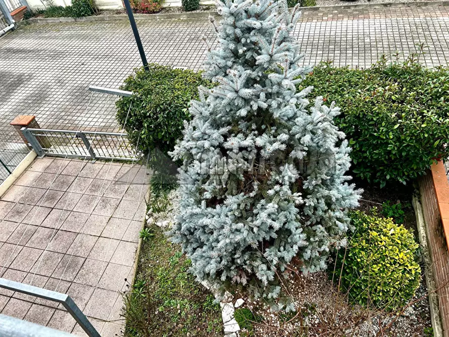 Immagine 15 di Villetta a schiera in vendita  in via Ricci a Copparo