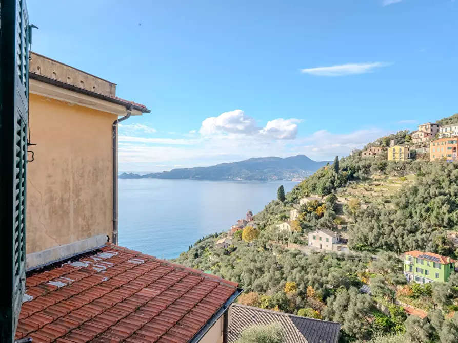 Immagine 2 di Rustico / casale in vendita  in Scalinata Montà 3A a Rapallo