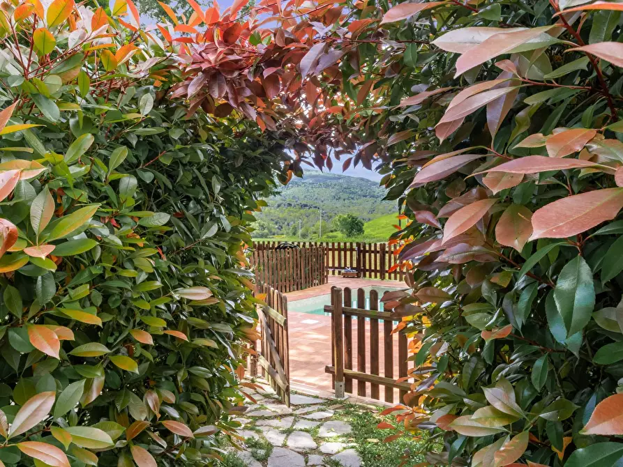 Immagine 30 di Casa indipendente in vendita  a Volterra