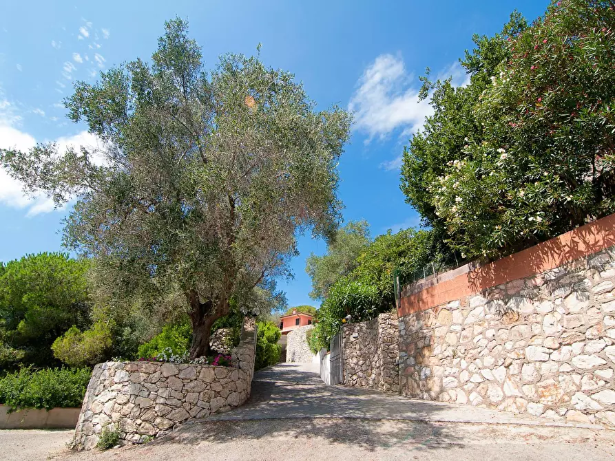 Immagine 36 di Villa in vendita  in Via Briot a Portoferraio