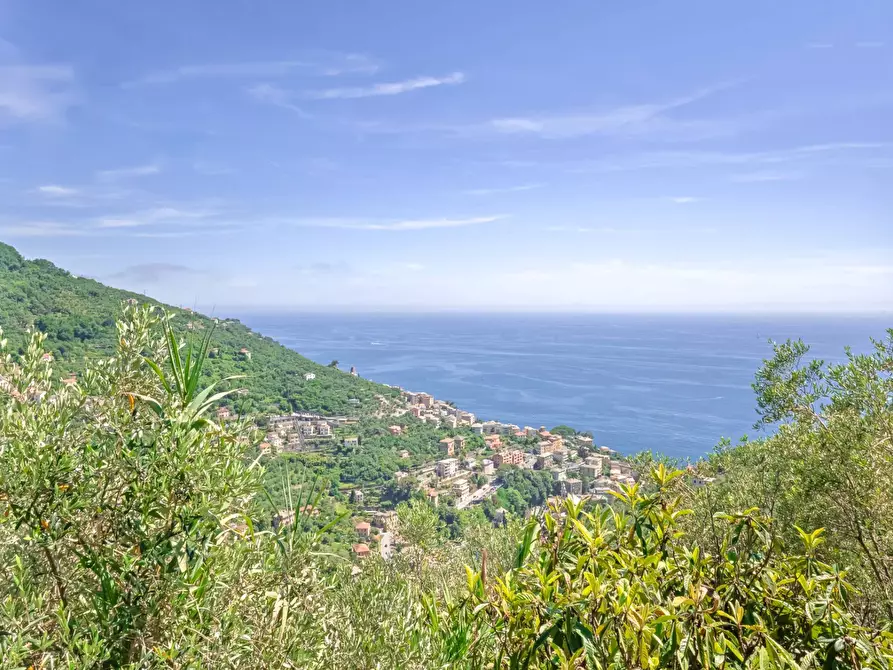 Immagine 18 di Villa in vendita  in VIA DEI LECCI 12 a Zoagli