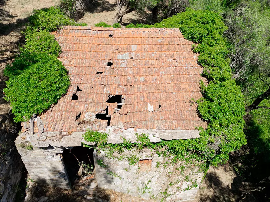Immagine 2 di Rustico / casale in vendita  in via dei lecci a Zoagli