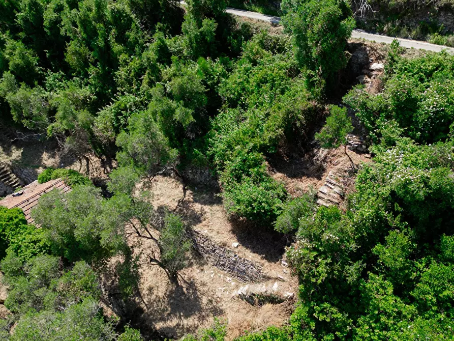 Immagine 3 di Rustico / casale in vendita  in via dei lecci a Zoagli