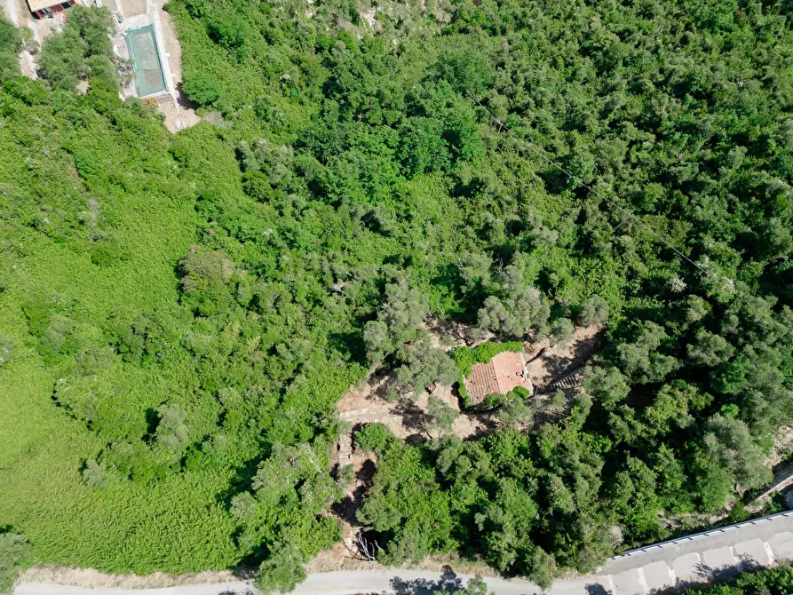 Immagine 4 di Rustico / casale in vendita  in via dei lecci a Zoagli