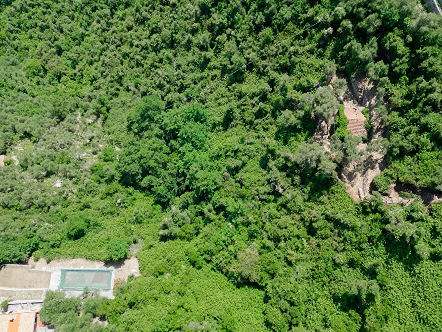 Immagine 5 di Rustico / casale in vendita  in via dei lecci a Zoagli