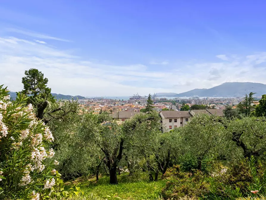 Immagine 5 di Villa in vendita  in Via Montepertico 110 a La Spezia