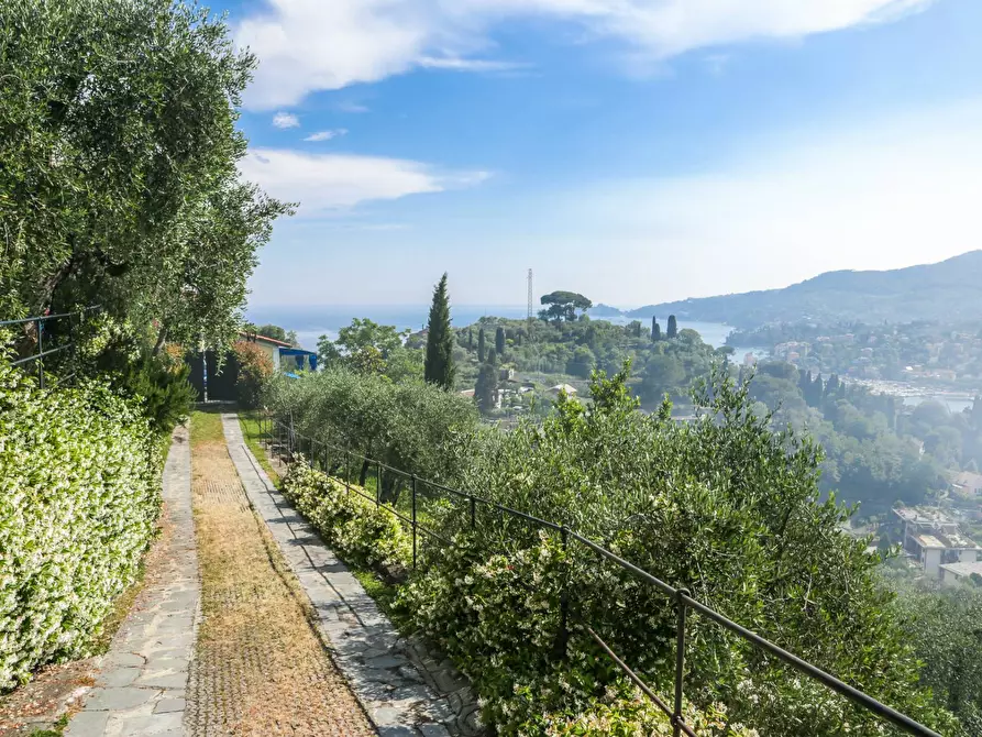 Immagine 34 di Villa in vendita  in Salita Montallegro 11 a Rapallo
