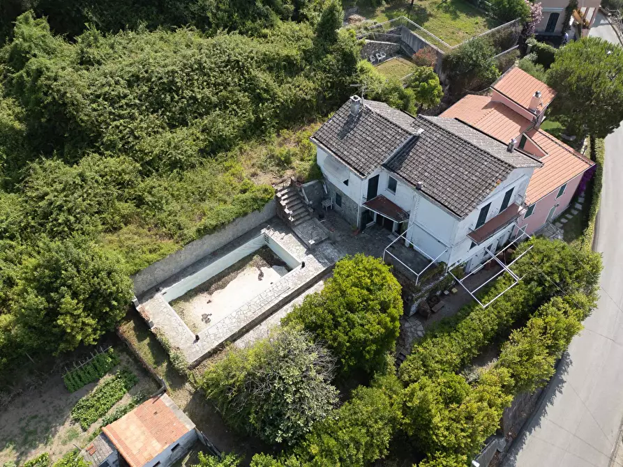Immagine 4 di Villa in vendita  in san saturnino a Avegno