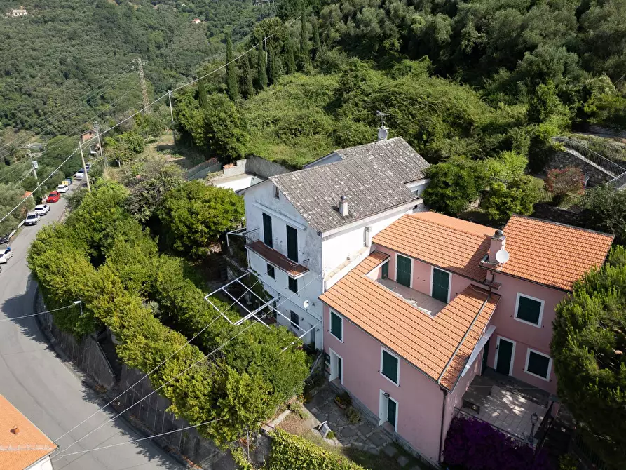 Immagine 6 di Villa in vendita  in san saturnino a Avegno