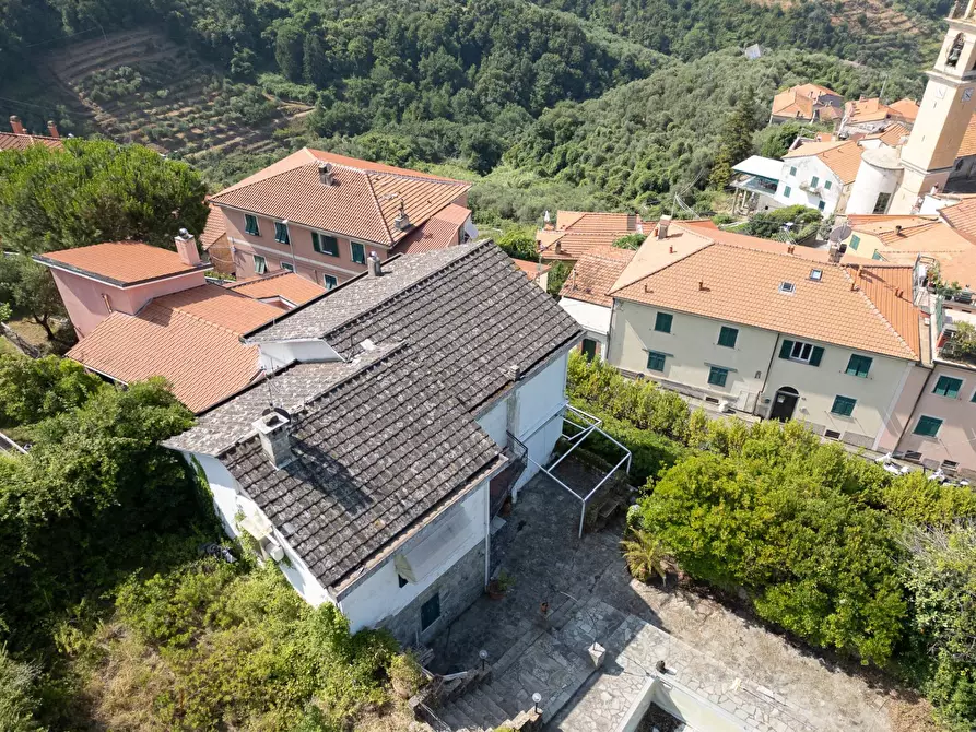 Immagine 7 di Villa in vendita  in san saturnino a Avegno