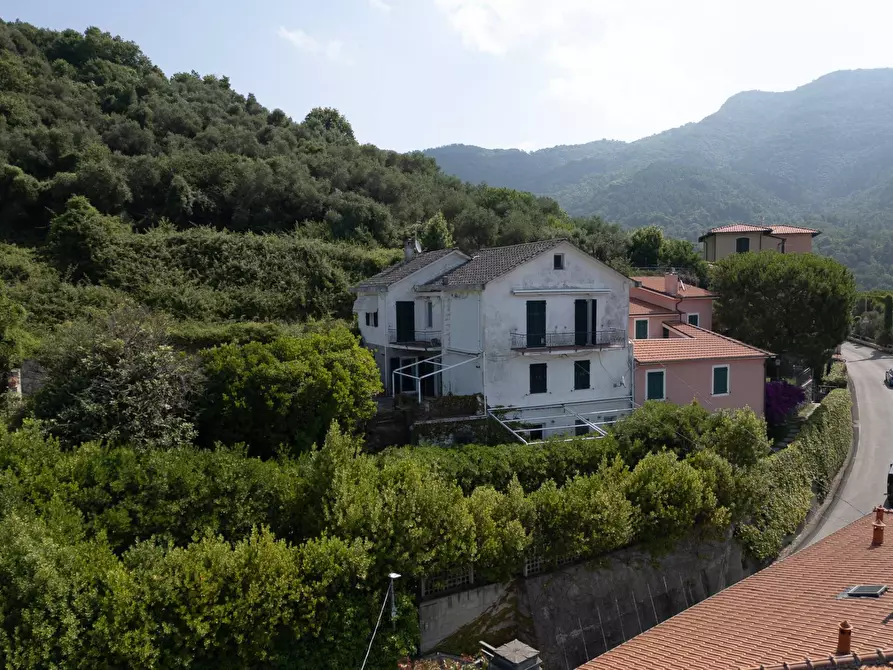 Immagine 9 di Villa in vendita  in san saturnino a Avegno