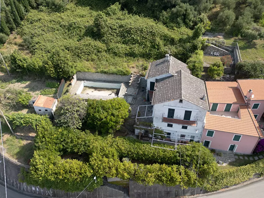 Immagine 13 di Villa in vendita  in san saturnino a Avegno