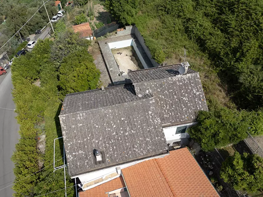 Immagine 14 di Villa in vendita  in san saturnino a Avegno