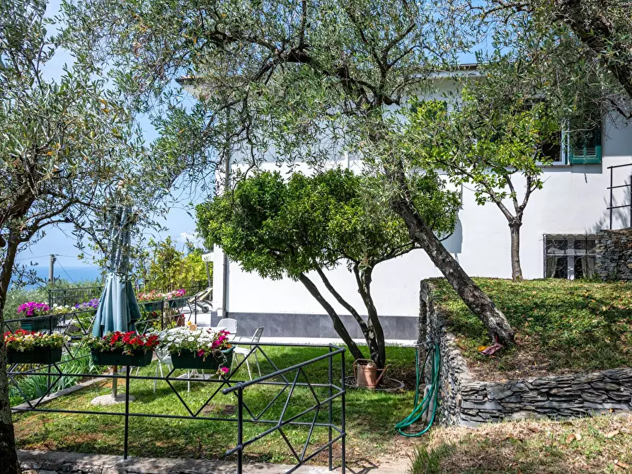 Immagine 32 di Villa in vendita  in via del laghetto 9 a Lavagna