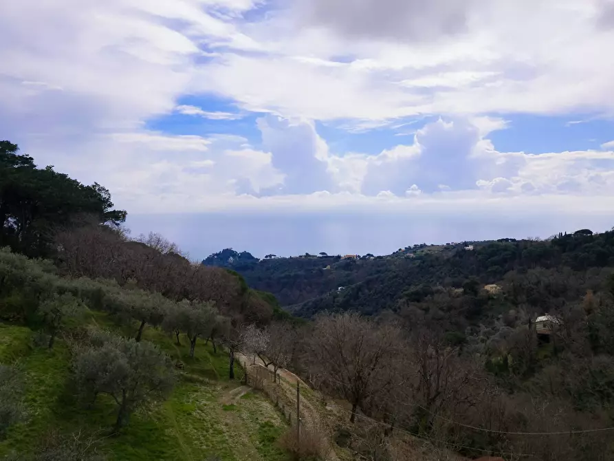 Immagine 22 di Casa indipendente in vendita  in Via Gave 27 a Santa Margherita Ligure