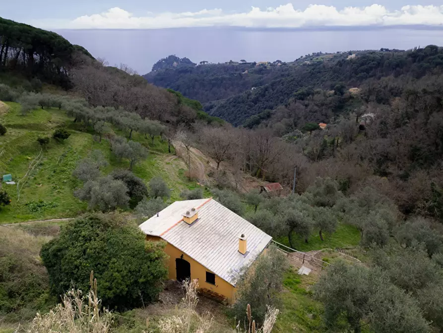 Immagine 23 di Casa indipendente in vendita  in Via Gave 27 a Santa Margherita Ligure