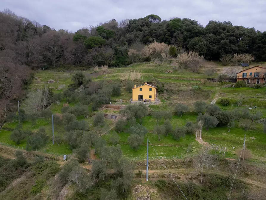 Immagine 26 di Casa indipendente in vendita  in Via Gave 27 a Santa Margherita Ligure