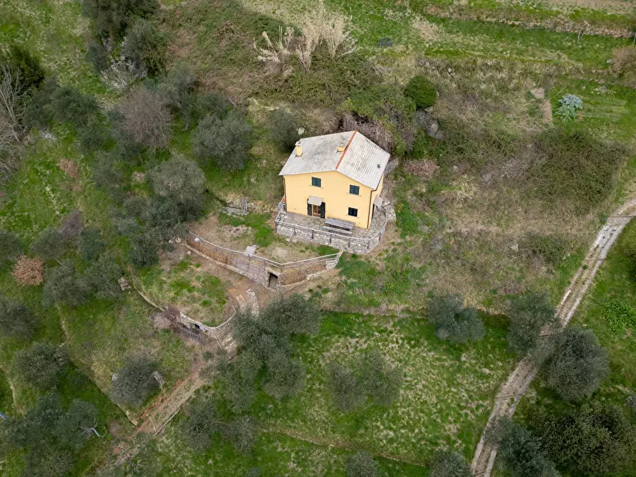 Immagine 29 di Casa indipendente in vendita  in Via Gave 27 a Santa Margherita Ligure