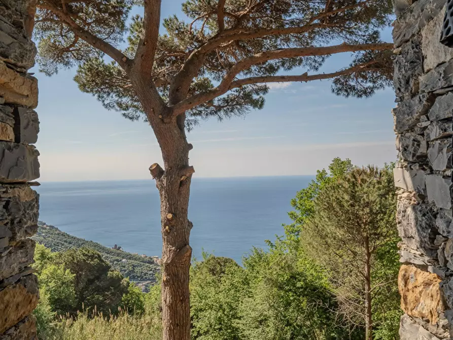 Immagine 18 di Rustico / casale in vendita  in Località Vallette Ronco a Rapallo